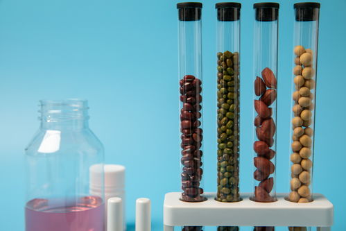 花生大豆食品安全農(nóng)業(yè)科技食品培育攝影圖 插畫(huà) 下載至來(lái)源處