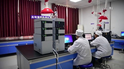 農業生產標準化,文登田野飛出新希望